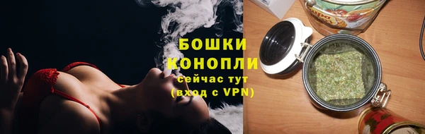 соль ск Елизово