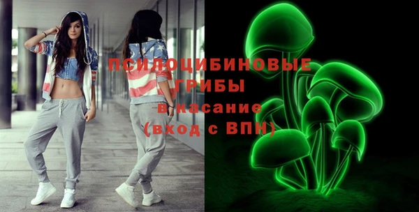 соль ск Елизово