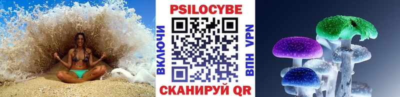 Галлюциногенные грибы Psilocybe  Купить закладки  Полысаево 